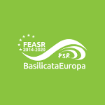 logo feasr